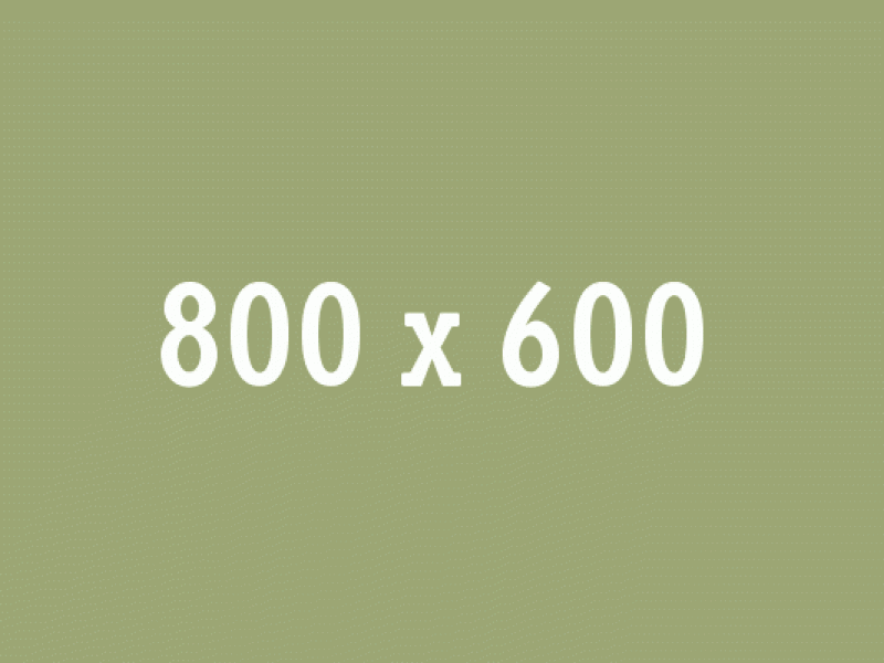 When all you need is a break